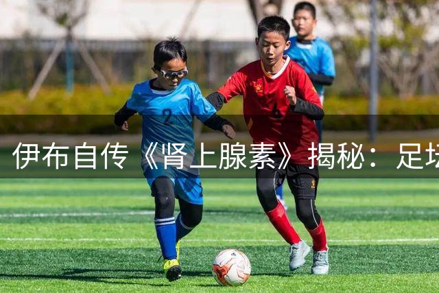 伊布自传《肾上腺素》揭秘：足坛"上帝"的狂傲与蜕变