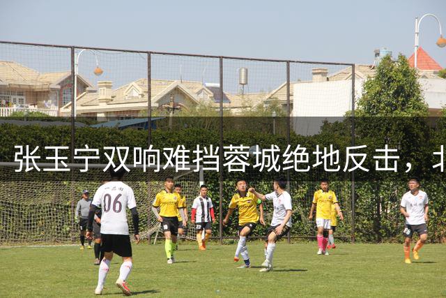张玉宁双响难挡蓉城绝地反击，北京国安憾失关键三分
